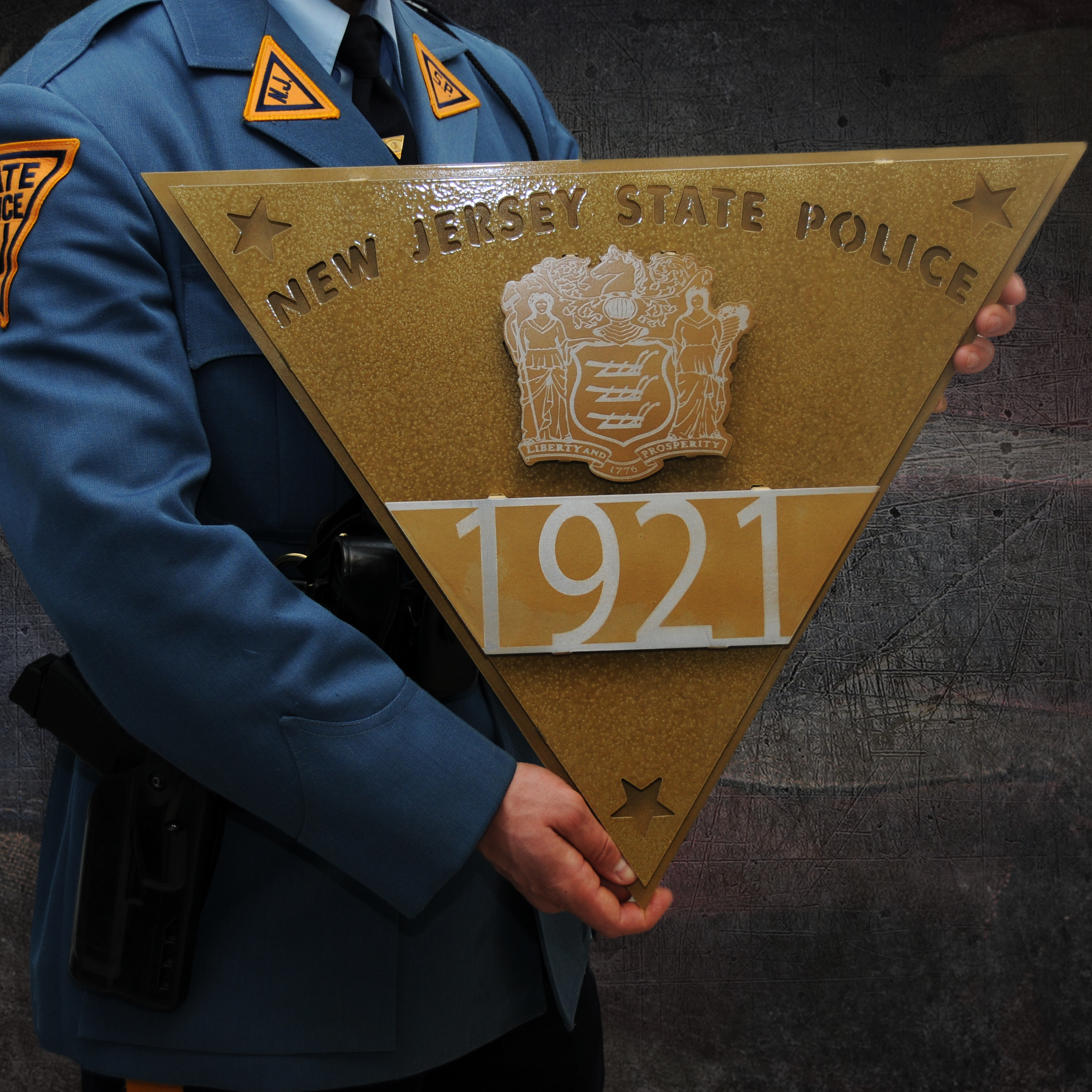 Hat Badge Custom Metal 3D Sign – Troopers United Foundation